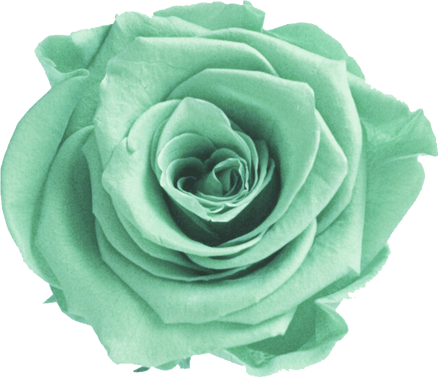 Green Rose Flower