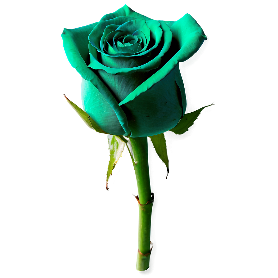Green Roses Nature Png 05042024