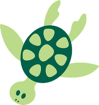 Green Sea Turtle Illustration