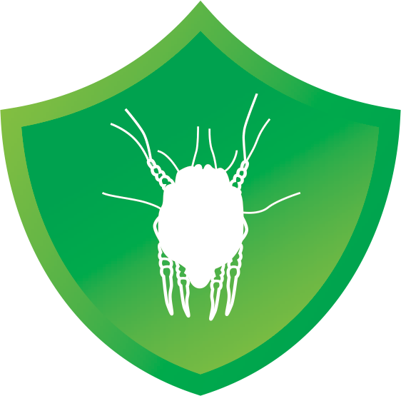 Green Shield Virus Icon