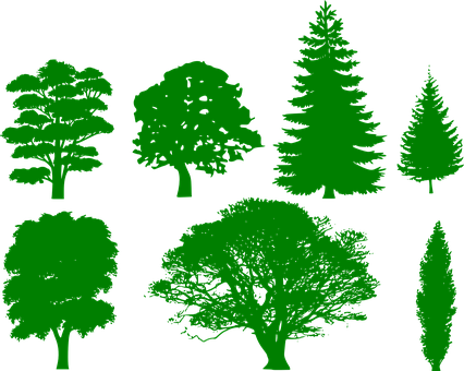 Green Silhouette Trees Collection