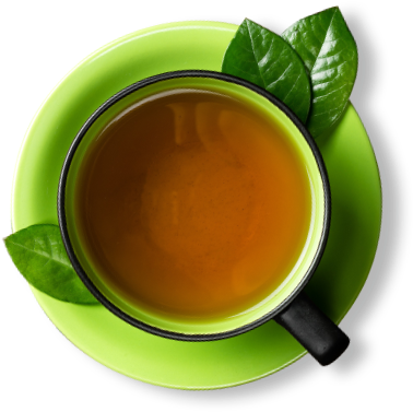 Green Tea Cup With Leaves