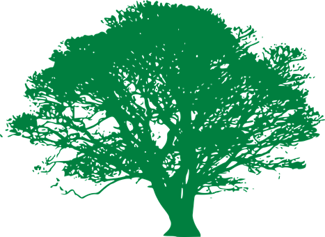 Green Tree Silhouette