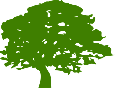 Green Tree Silhouette