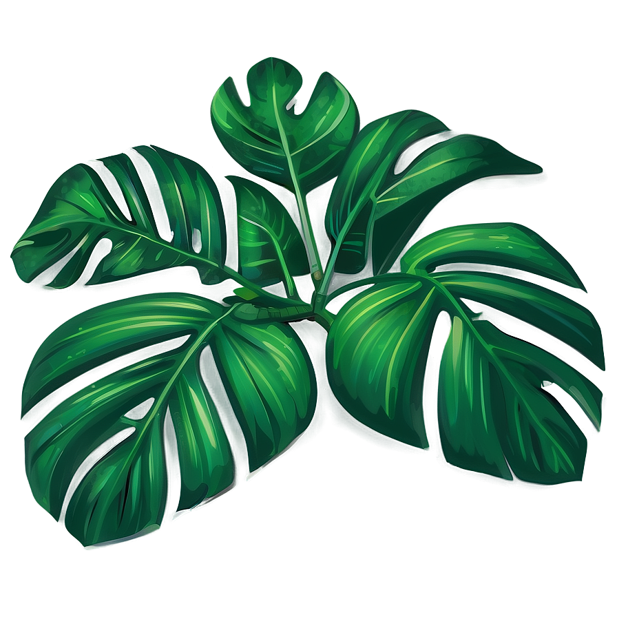 Green Tropical Leaf Illustration Png 21