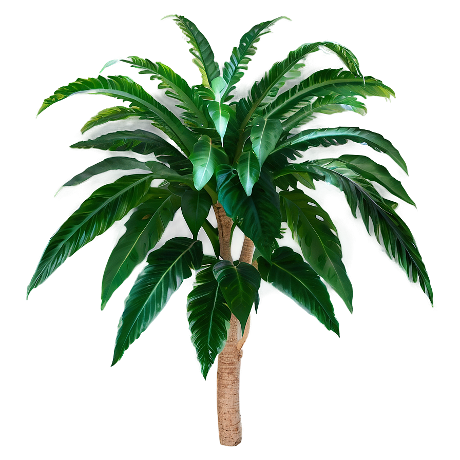 Green Tropical Plant Png 06272024