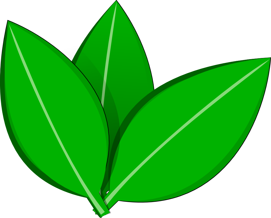 Green Vector Leaves Illustration