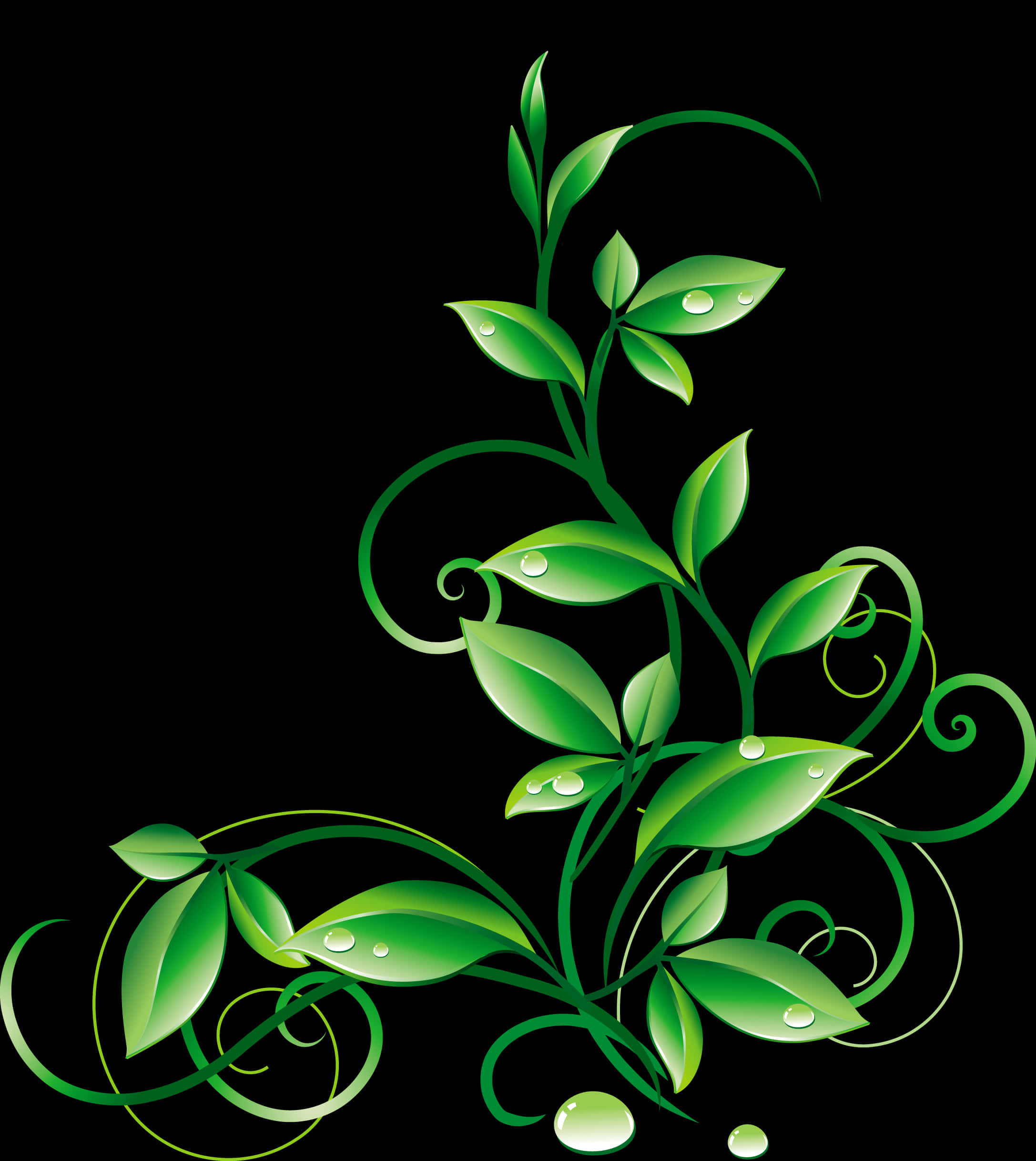 Green Vine Dew Drops Graphic