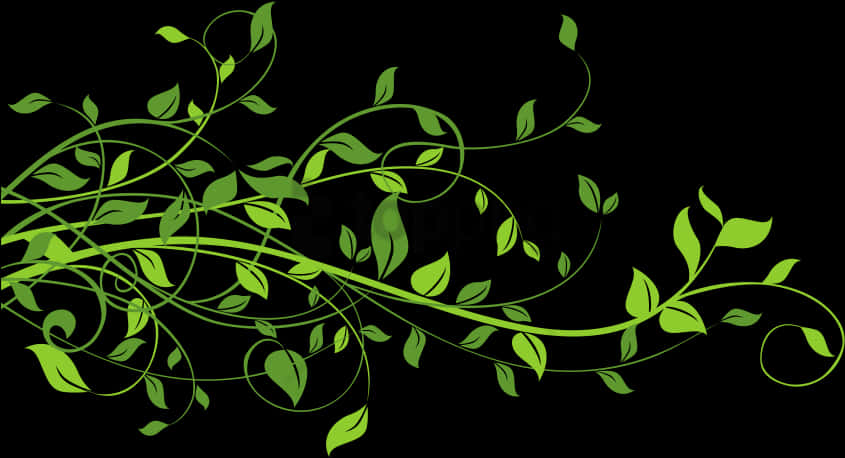 Green Vine Flourish Black Background
