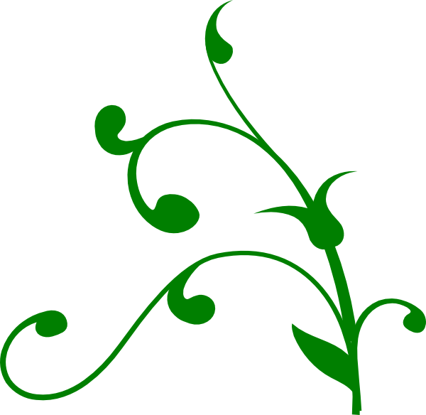 Green Vine Flourish Graphic