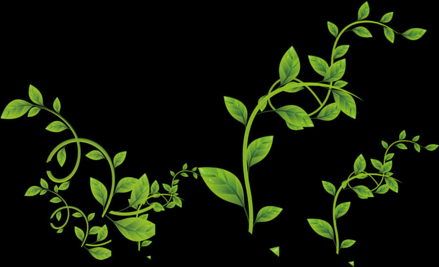 Green Vine Flourish Graphic