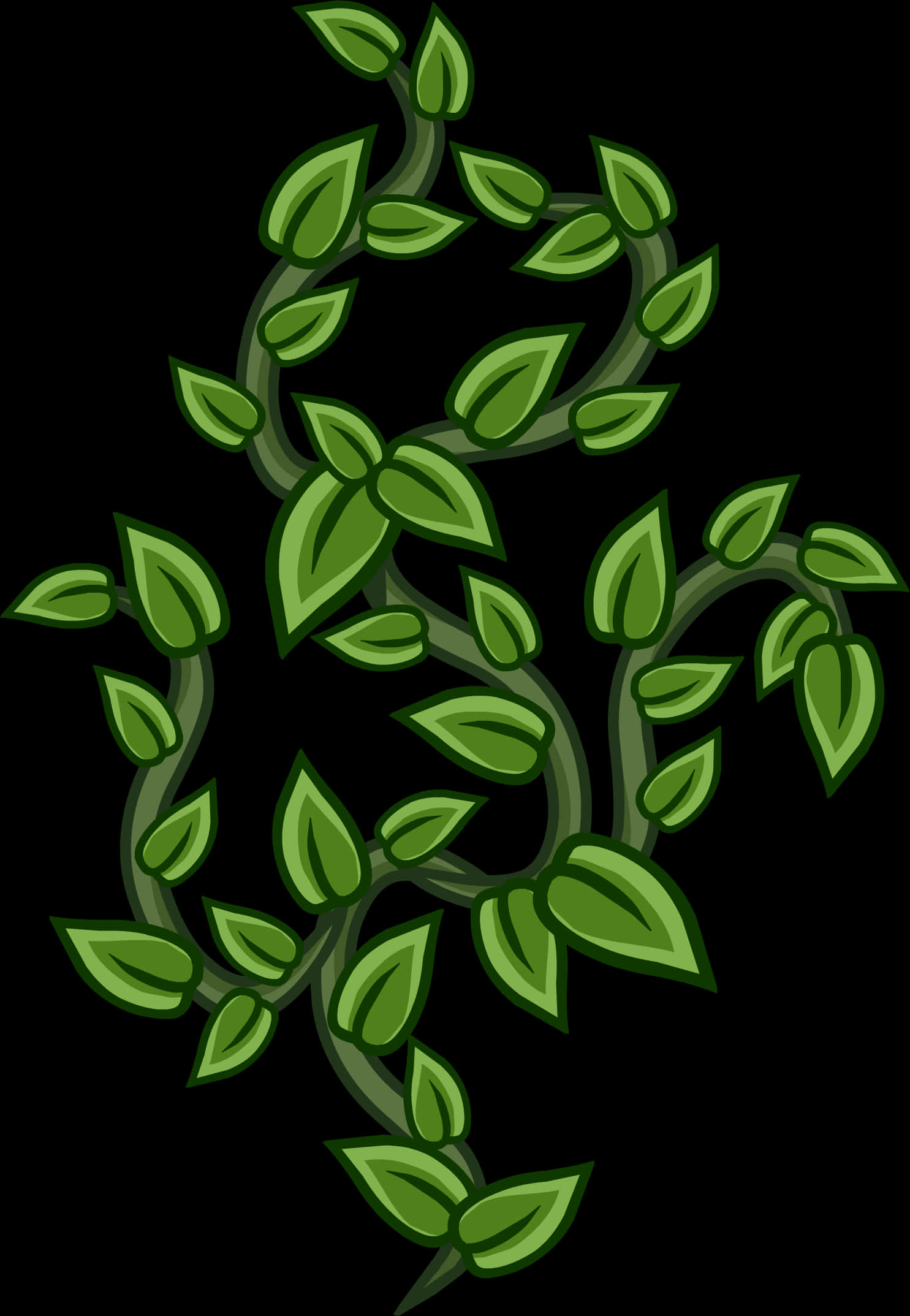 Green Vine Illustration