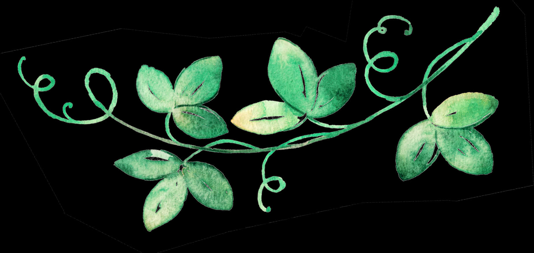 Green Vine Watercolor Divider