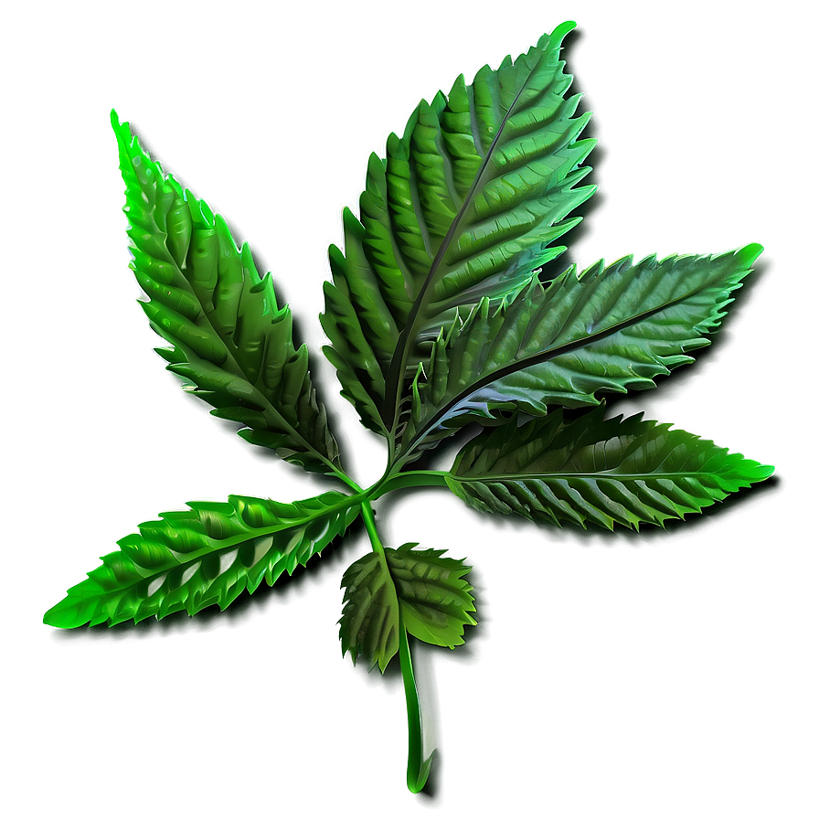 Green Weed Strain Png 05032024