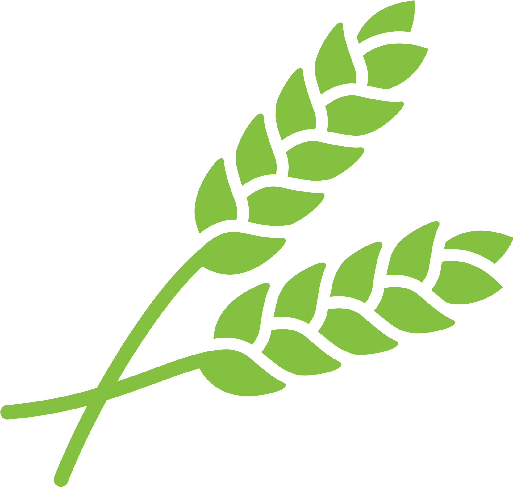 Green Wheat Icon