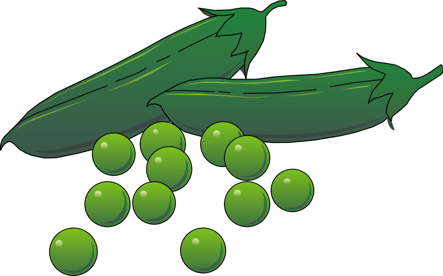 Green Zucchiniand Peas Illustration