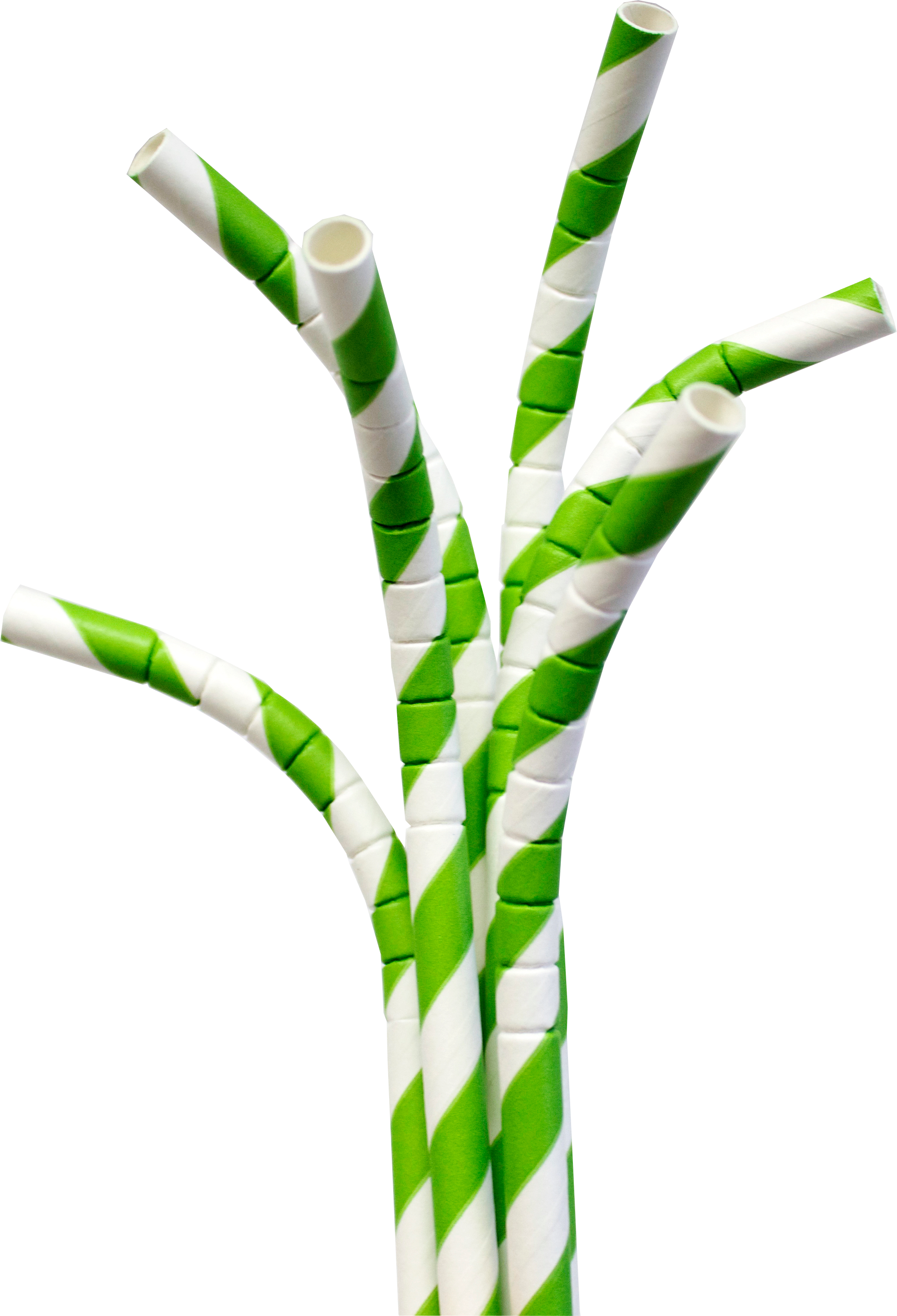 Greenand White Paper Straws