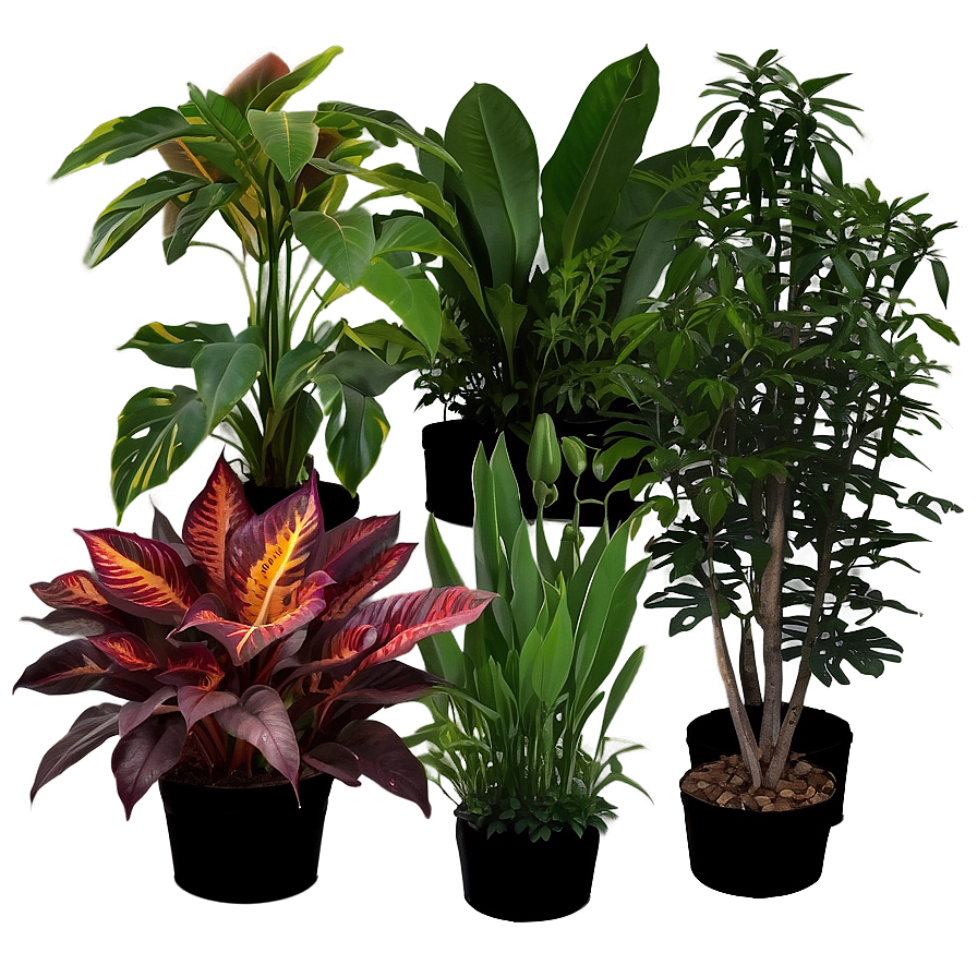 Greenhouse Plants Png Wut41