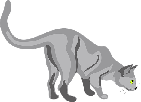 Grey Cat Vector Illustration