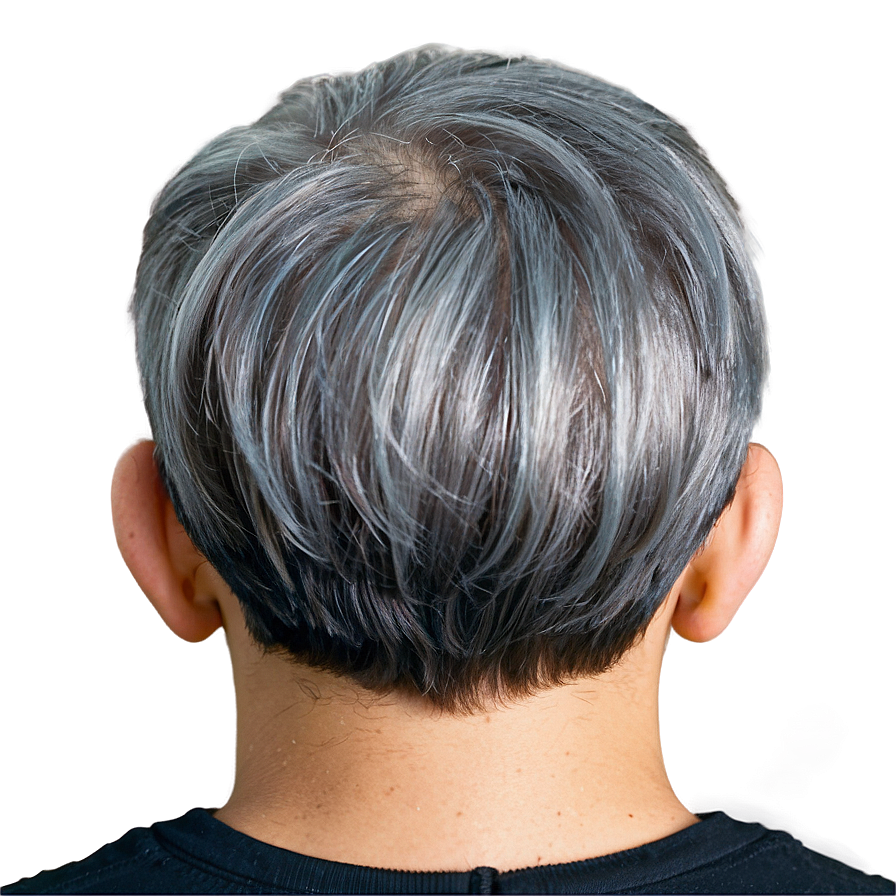 Grey Hair Highlights Png Rym