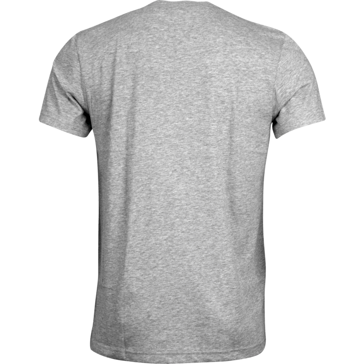 Grey T Shirt Back View