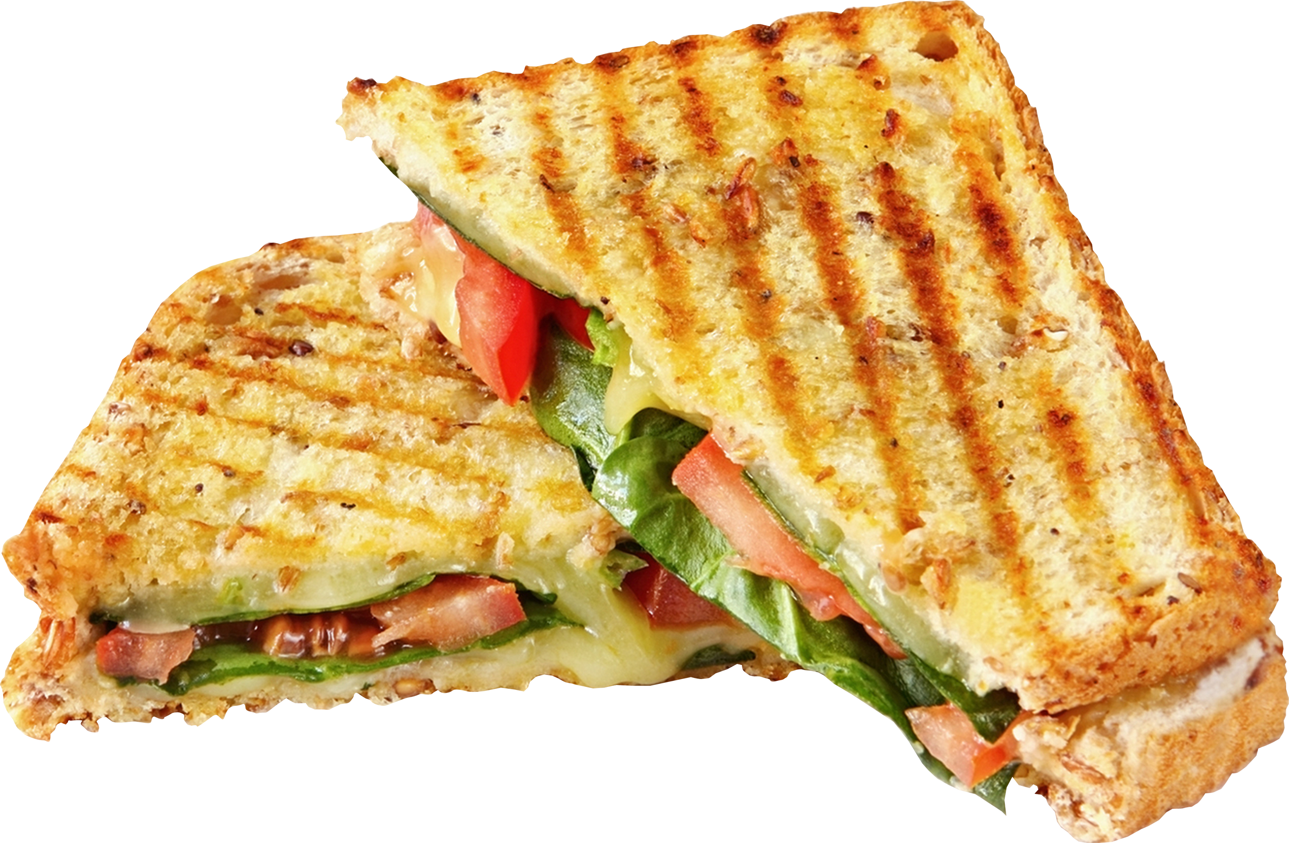 Grilled Cheese Vegetable Sandwich.png