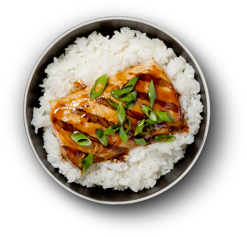 Grilled Salmon Over Rice Bowl