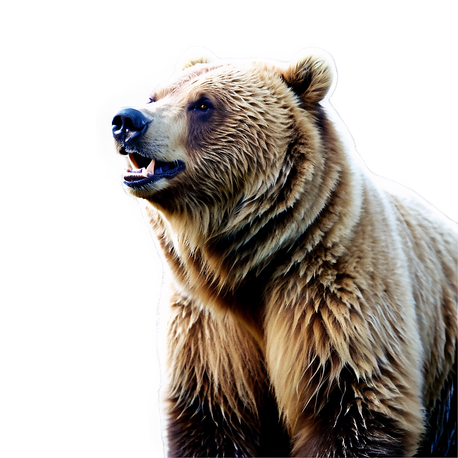 Grizzly Bear Image Png Jfe15