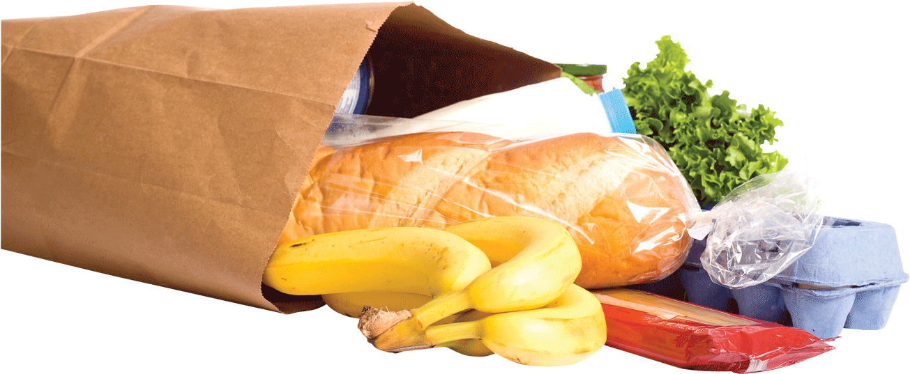 Grocery Bag With Fresh Food Items