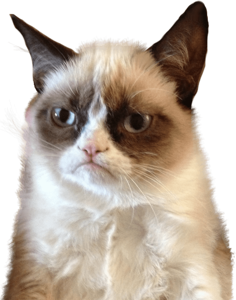 Grumpy Cat Meme Portrait