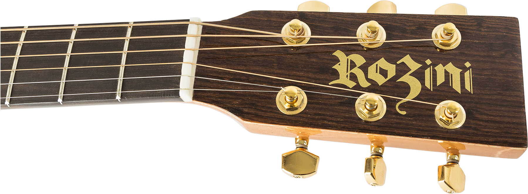 Guitar Headstock Closeup Rozini Brand