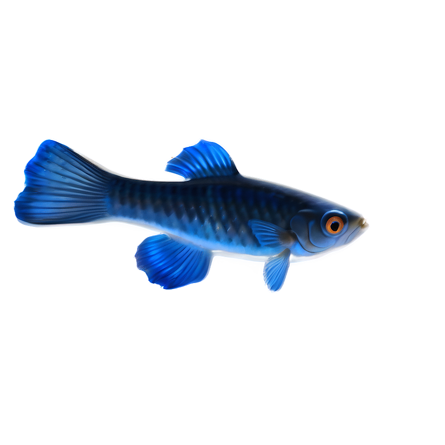 Guppy Fish Shadow Png 58