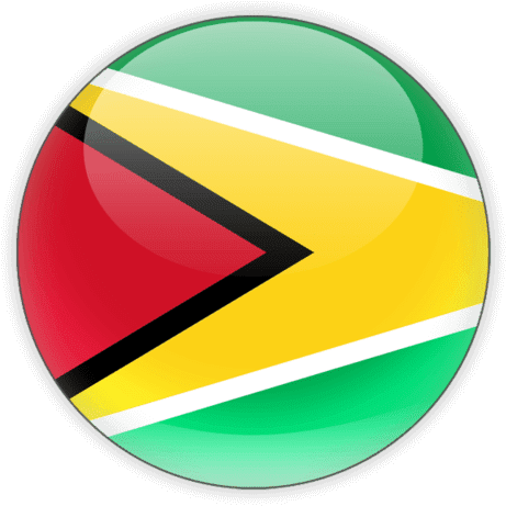 Guyana Flag Button Graphic