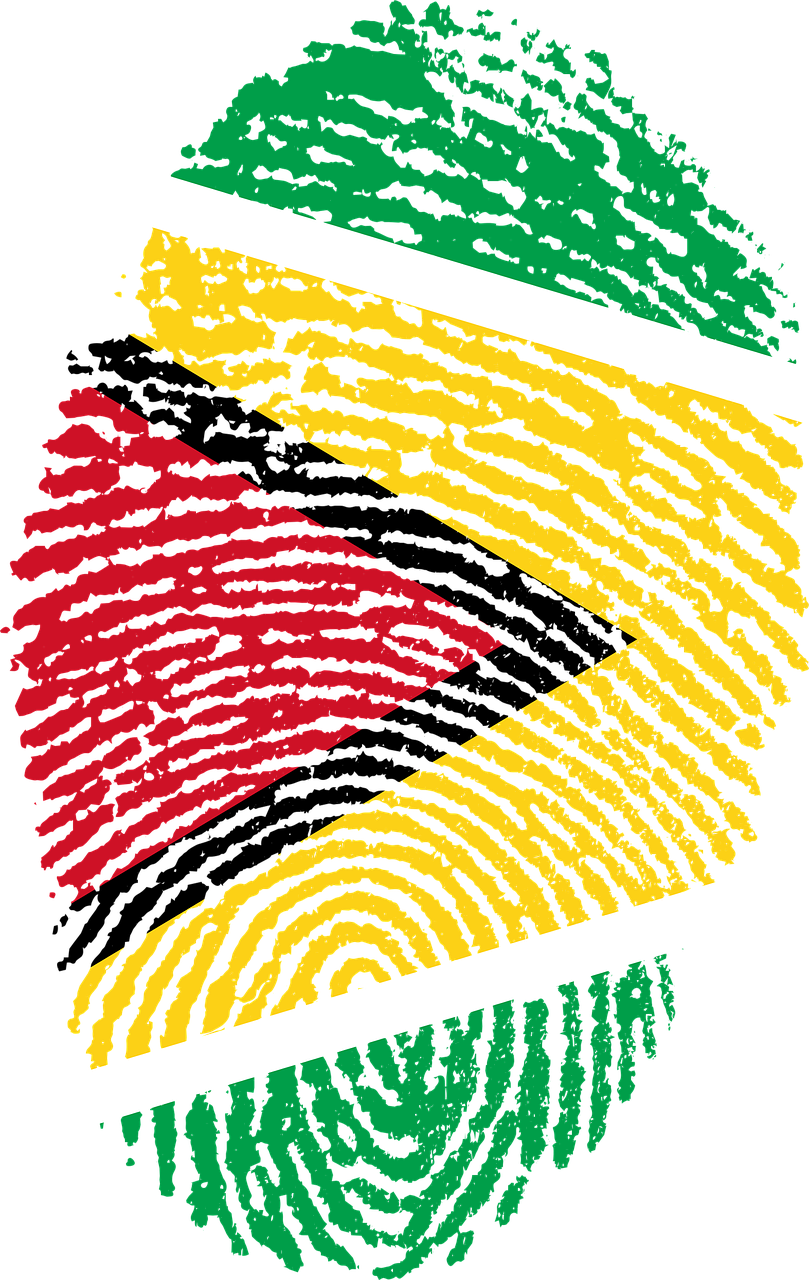 Guyana Flag Fingerprint Art