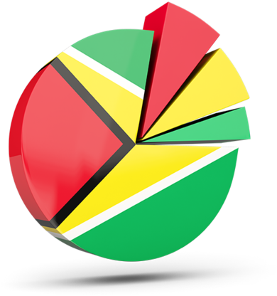 Guyana Flag Pie Chart3 D Render