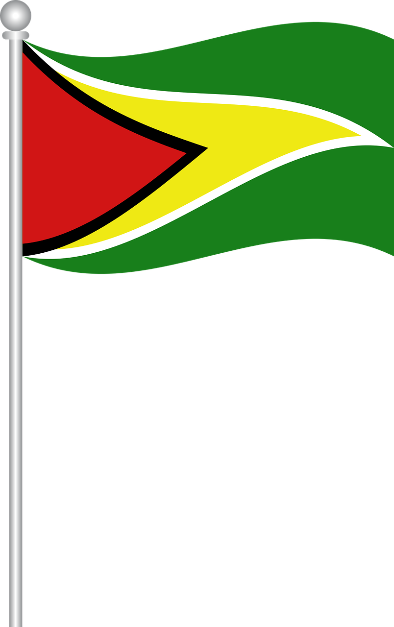 Guyana National Flag Waving