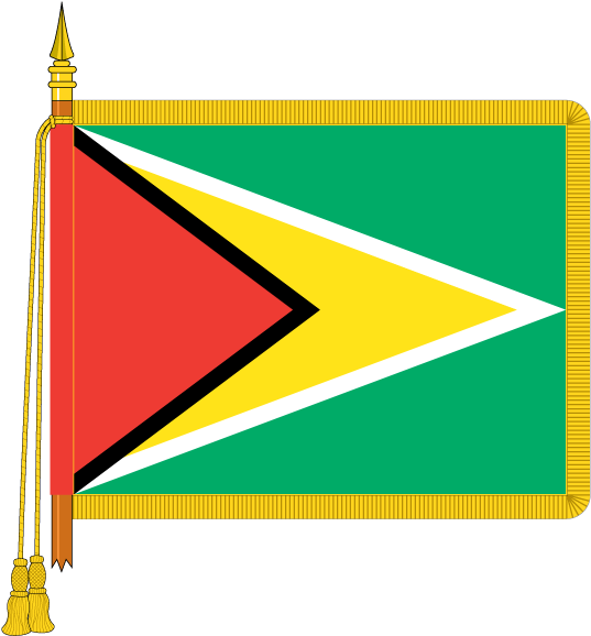 Guyana National Flagwith Fringe