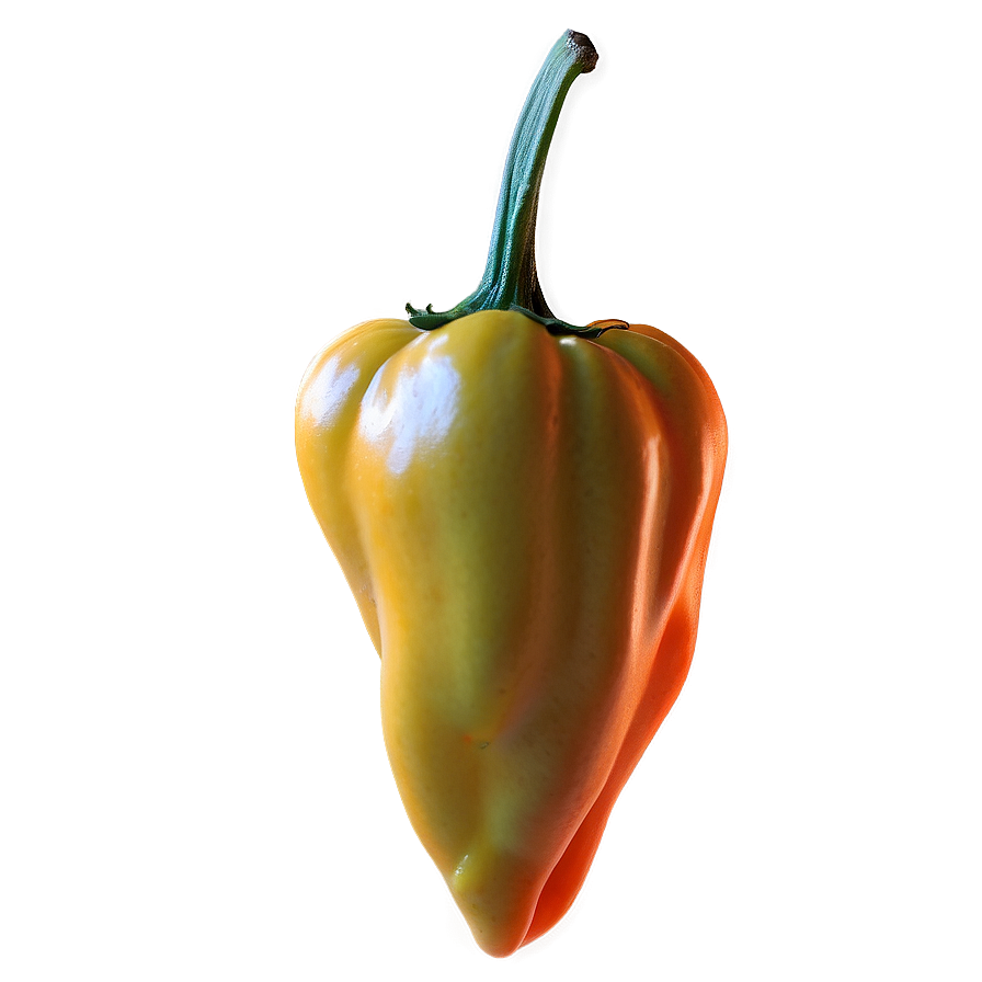 Habanero B