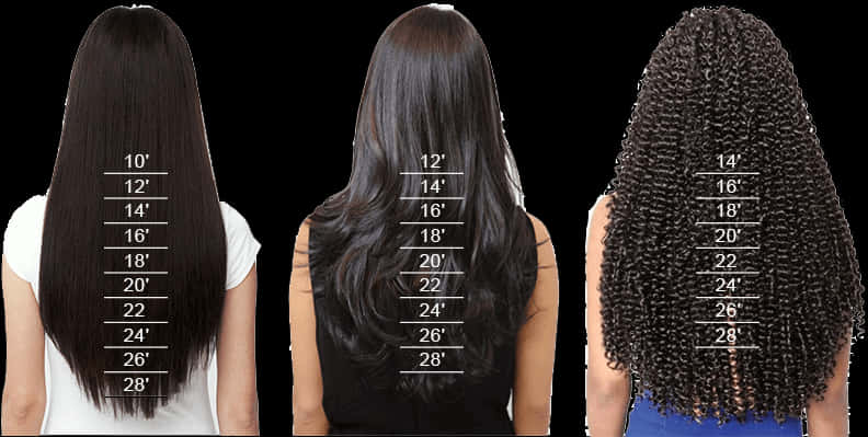 Hair Length Comparison Chart