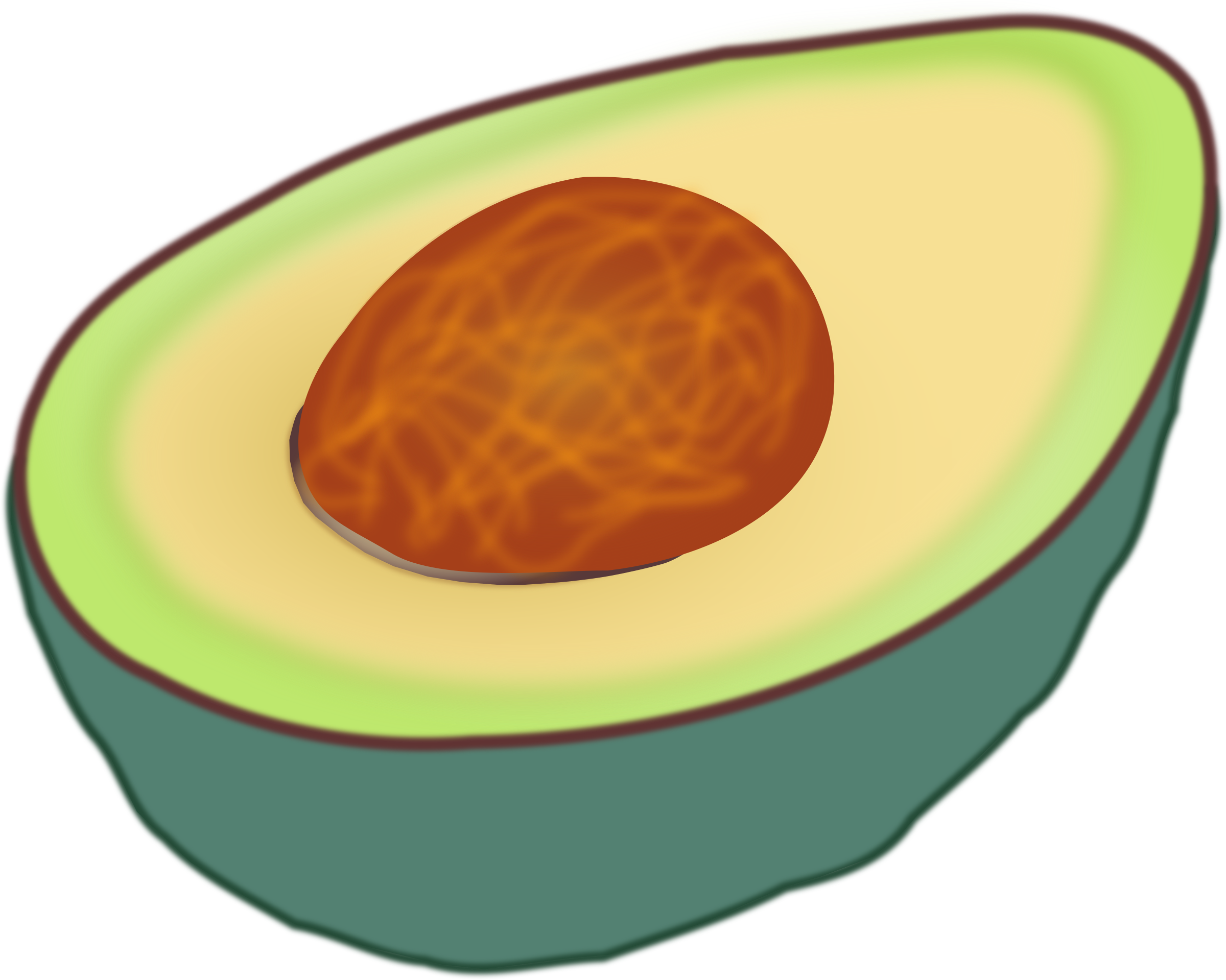 Half Avocado Illustration