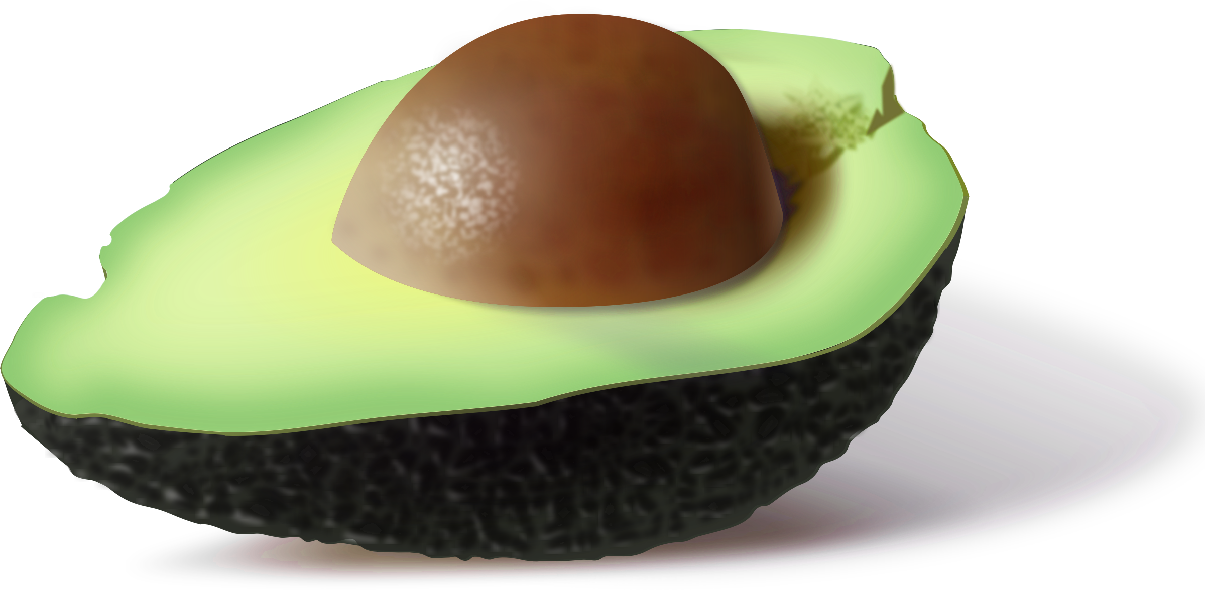 Half Avocadowith Pit