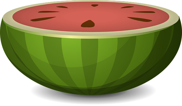 Half Cut Watermelon Illustration