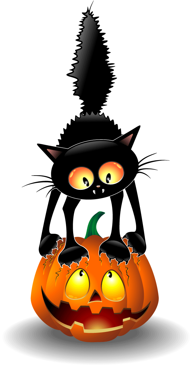 Halloween Black Catand Jack O Lantern