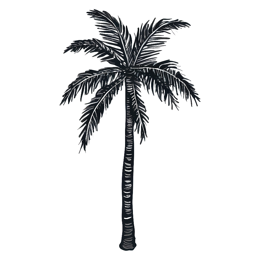 Hand Drawn Black Palm Tree Png Ofo