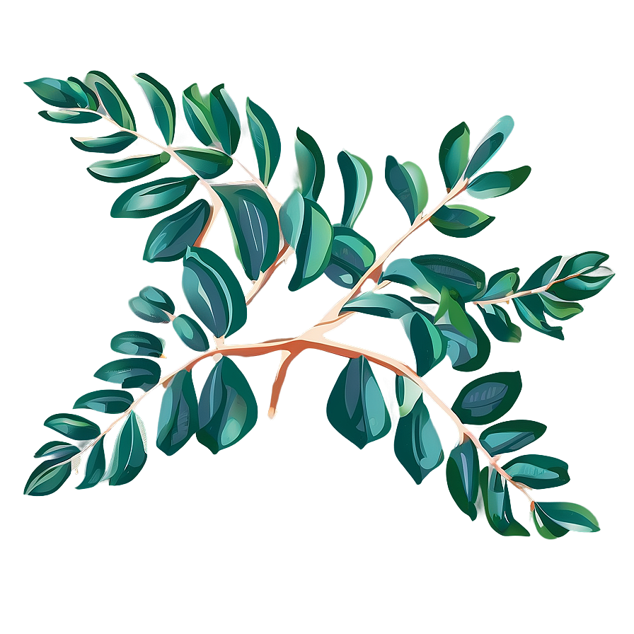 Hand Drawn Eucalyptus Leaves Png Jix67