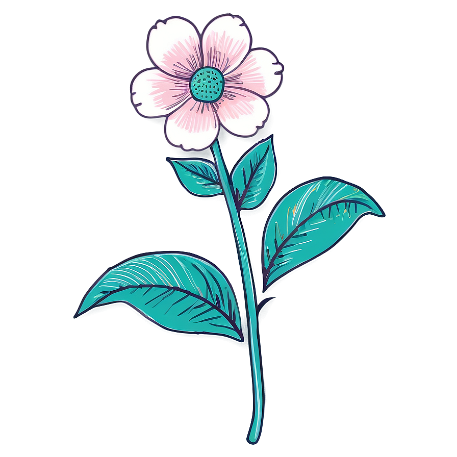 Hand-drawn Flower Illustration Png 06272024