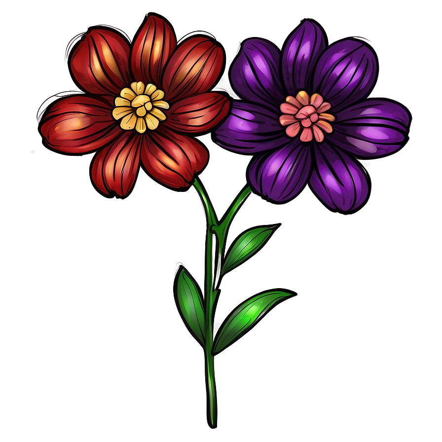 Hand-drawn Flower Illustration Png 06272024