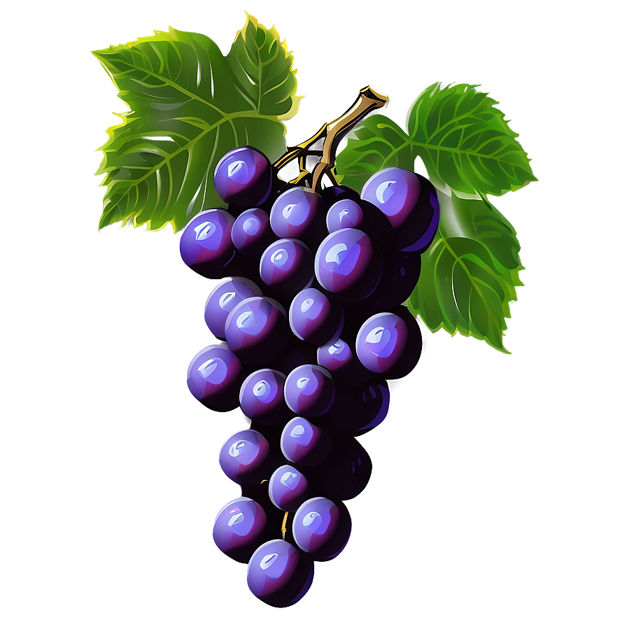 Hand Drawn Grapes Png 28