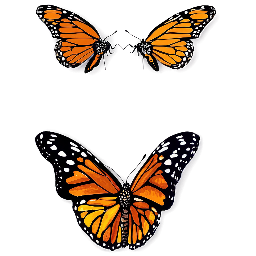 Hand Drawn Monarch Butterflies Png 17