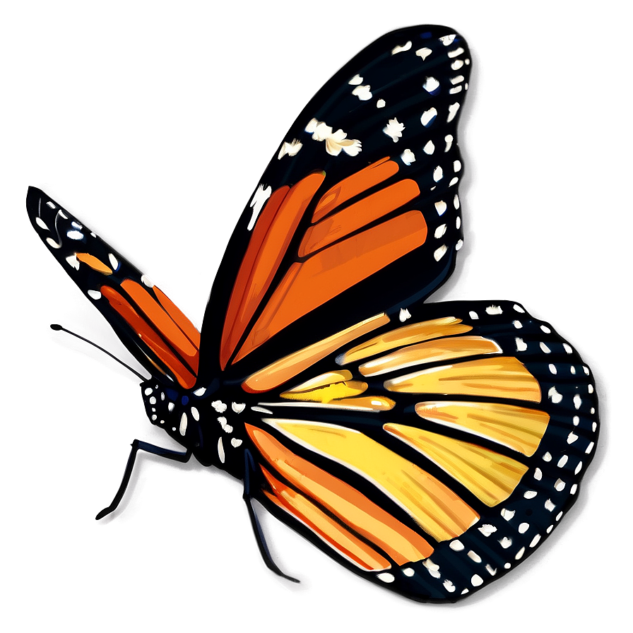 Hand Drawn Monarch Butterfly Png Ugs64